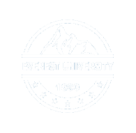 Everest University Logo - Footer