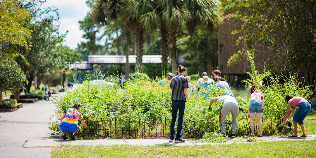 Horticulture_Environmental.jpg